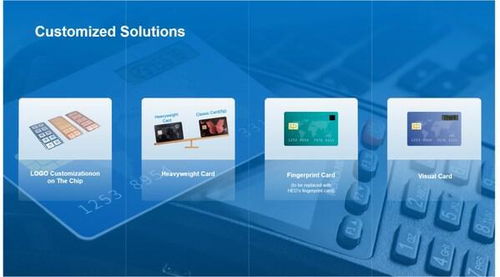 華大電子重磅亮相Seamless 2025，用芯助力數(shù)字安全新時(shí)代技術(shù)服務(wù)